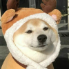AKA 净坛使者